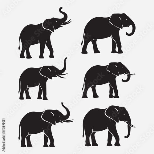 Six different elephant silhouette postures on white background silhouette