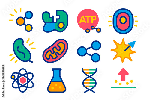 Biological Reaction Icons. Flat vector icons of chemical reactions in organisms: glowing molecule, enzyme structure, ATP energy