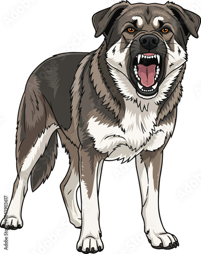 Karst Shepherd dog alert aggressive barking stance 