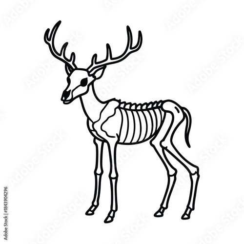 Vector illustration of a wild deer silhouette with antlers, perfect for nature and Christmas designs