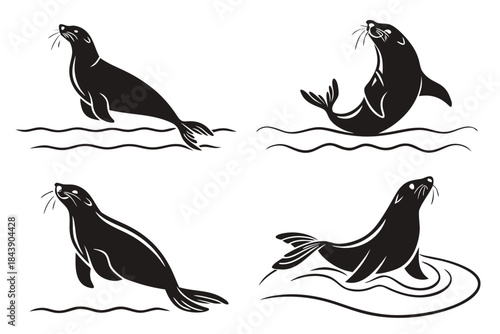 Empty vector file display