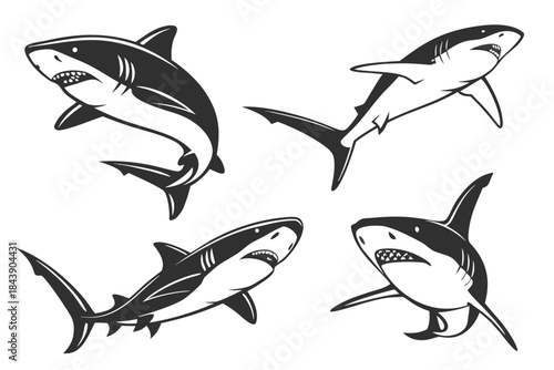 Placeholder image display