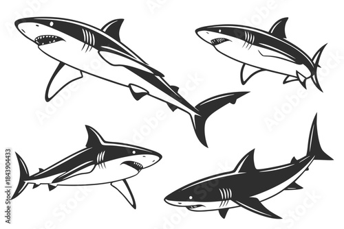 Placeholder image indicator