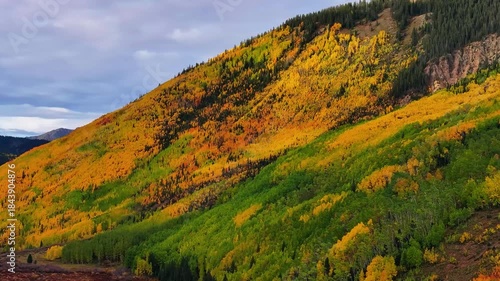 Autumn Fall Colors in San Juan Mountains Landscape With Orange and Yellow Foliage in Nature after morning sunrise near Ouray, Colorado town - 4K Drone