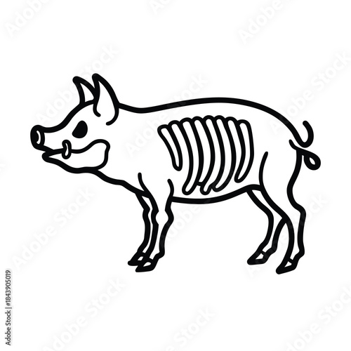 pig skeleton