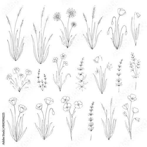 A collection of black and white drawings of flowers. The drawings are of various types of flowers, including daisies, lilies, and lavender. The overall mood of the images is serene and peaceful