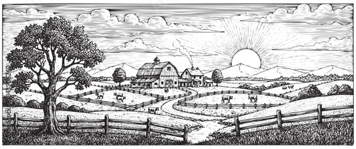 A black and white photo of a landscape with a sun rising in the background. The sun is in the center of the image and is surrounded by clouds. The landscape is peaceful and serene