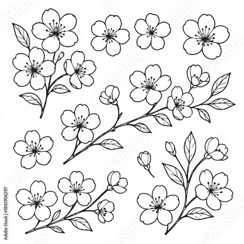 A beautiful arrangement of flowers, with each flower having a distinct shape and size. The flowers are arranged in a way that creates a sense of harmony and balance, with the stems