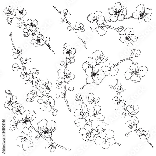 The image is a black and white drawing of a flower with a white background. The drawing is very detailed and captures the essence of the flower. The flower is the main focus of the drawing