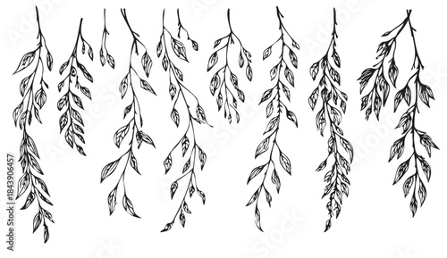 A series of black and white leaves are drawn in a line. The leaves are thin and elongated, with some appearing to be twisted or curled. The overall effect is one of elegance and grace
