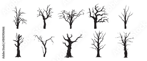 A set of twelve tree silhouettes, all of which are bare and skeletal. The trees are all different sizes and shapes, but they all have the same basic structure. Scene is one of desolation and emptiness