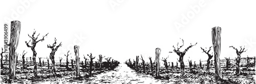 A black and white photo of a forest with a road running through it. The trees are bare and the sky is cloudy