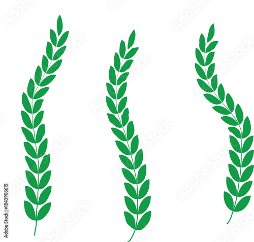 Laurel wreath vector set.
