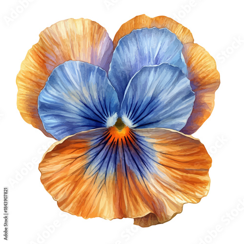 Pansy Flower, watercolor illustration vector, isolated on a white background.