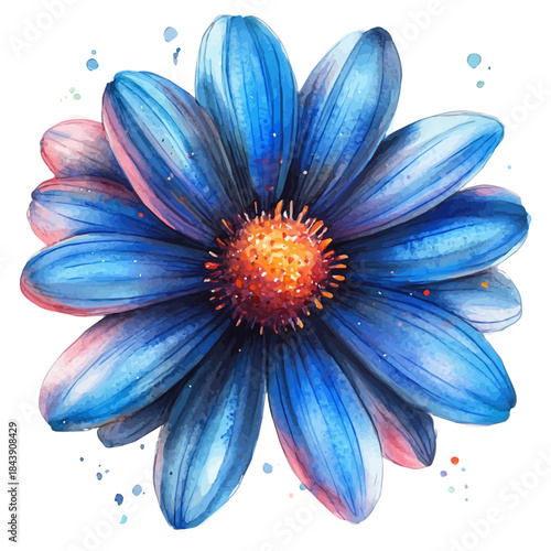 Painted Daisy Flower, watercolor vector, isolated on a white background.