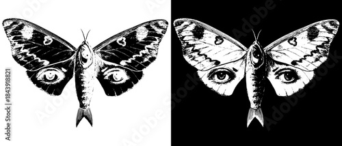 butterfly fish Vintage Moth with Eye Pattern Engraving, Inverted Black White Xerography Vector on Transparent Background for Laser Engraving on Dark Surface