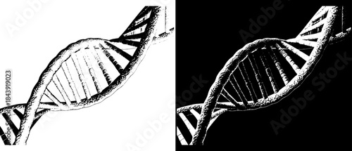 Vintage DNA Helix Engraving, Inverted Black White Xerography Vector on Transparent Background for Laser Engraving on Dark Surface