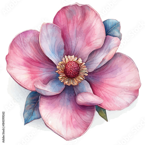 Magnolia Flower, playful watercolor vector depicting lively antics and expressive gestures, isolated on a white background.
