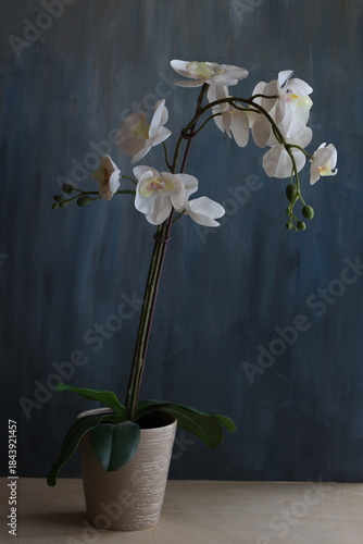 A serene and captivating botanical scene featuring the elegant orchid tree in full bloom, showcasing its delicate, vibrant flowers against a lush natural backdrop. 