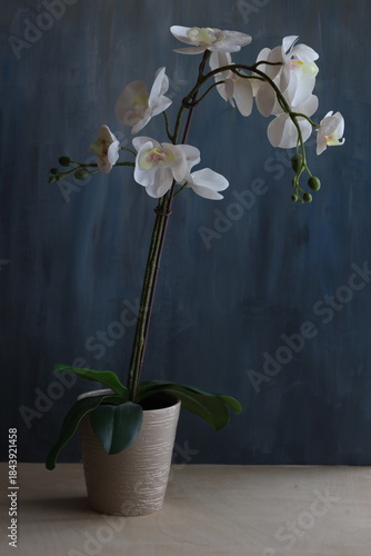 A serene and captivating botanical scene featuring the elegant orchid tree in full bloom, showcasing its delicate, vibrant flowers against a lush natural backdrop. 