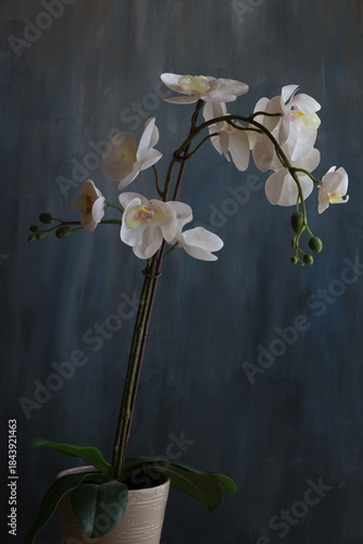 A serene and captivating botanical scene featuring the elegant orchid tree in full bloom, showcasing its delicate, vibrant flowers against a lush natural backdrop. 