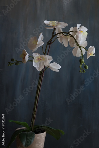 A serene and captivating botanical scene featuring the elegant orchid tree in full bloom, showcasing its delicate, vibrant flowers against a lush natural backdrop. 