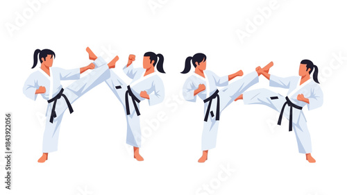 A visual sequence demonstrates a karate practitioner executing a dynamic side kick in multiple stages