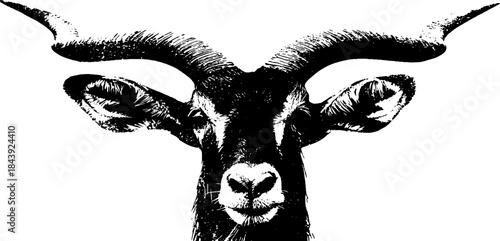 Black and white stencil of rough animal head for urban art and design projects