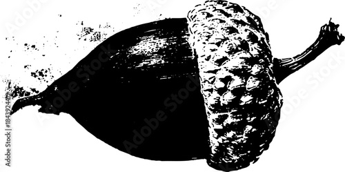 Black and white acorn stencil illustration for nature and art design