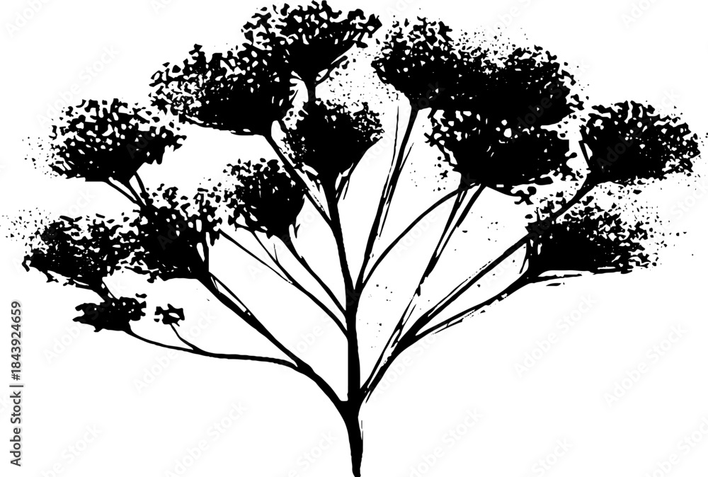 Obraz premium Black and white rugged floral stencil illustration for urban art design