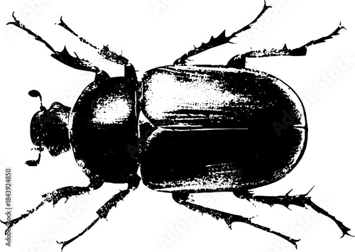 Black and white stencil illustration of a segmented abstract insect design for urban art