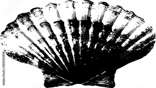 Abstract shell stencil art in black and white for creative design projects