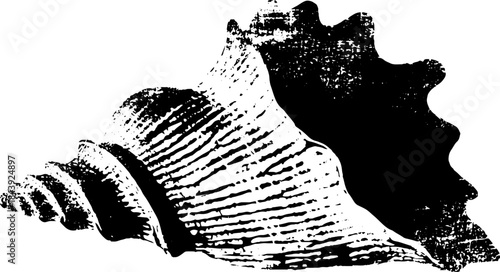 Black and white abstract shell stencil illustration for urban art designs