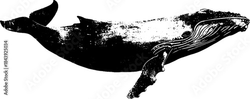 Grunge black and white whale stencil illustration for urban design