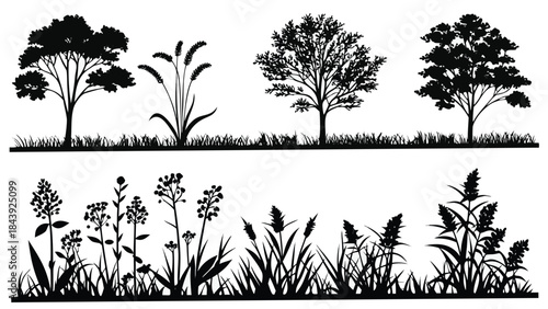 Vector illustration black silhouette of trees and grass on isolated for design