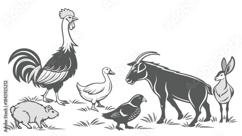 Vector illustration black and white illustration of farm animals on grassy field