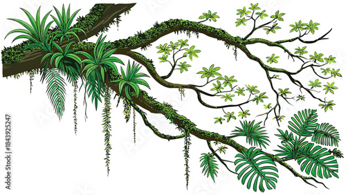 Vector illustration a lush green tree branch with various tropical plants and moss