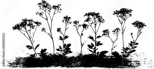 Black and white stencil illustration of spring meadow silhouette for nature art design