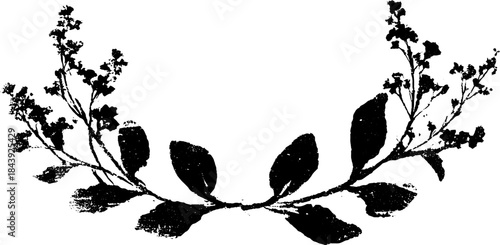 Black and white symmetrical flourish stencil design for decorative art and prints