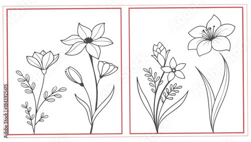 Vector illustration black and white line drawing of various flowers and plants in two panels