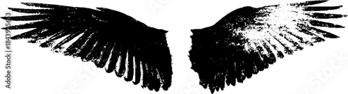 Black and white torn wing feather stencil illustration for urban art and design