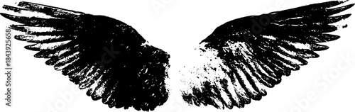 Grunge black and white wing feather stencil for urban art designs