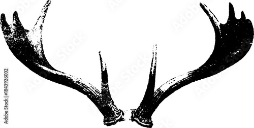 Abstract antler stencil art design in black and white for urban decor