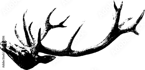 Abstract black and white antler stencil illustration for urban art design