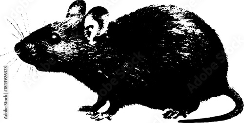 Black and white stencil illustration of a mouse with ergonomic design for creative projects