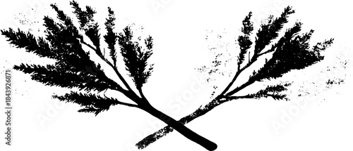 Black and white stencil illustration of crossing twig silhouette for nature-inspired designs