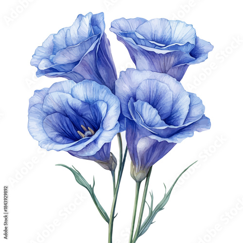 Lisianthus Flower, beautiful watercolor illustration with vivid colors and detailed vector style, isolated on a white background.