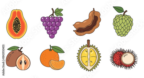 Illustrated assortment of tropical fruits on white background