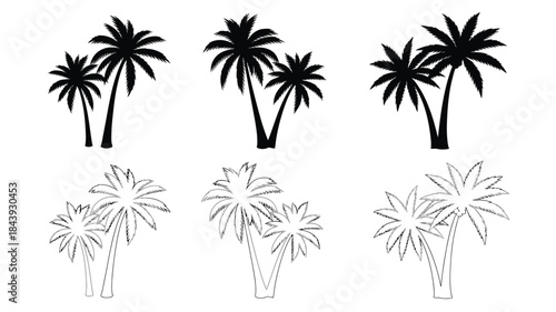 Silhouette collection of tropical palm trees in various arrangements and styles