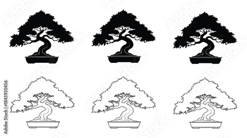 Three bonsai trees in silhouette and line art a symmetrical visual design